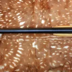 Harrington and Richardson SB2 Ultra