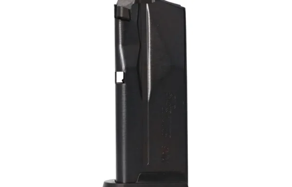 SIG SAUER P365 10rd Magazines; MA OK